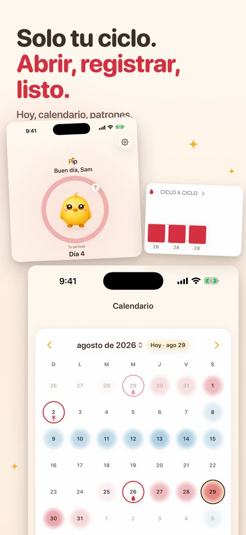 Pip la pollita está dentro de un anillo rosa en el día cuatro de un período, junto a una tarjeta de ciclo a ciclo con las barras de tus ciclos recientes y un calendario de agosto con los días teñidos.